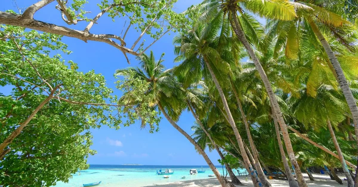 Destinations Exotiques Abordables à Ne Pas Manquer