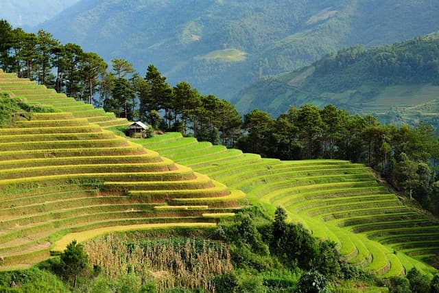 Eco-Friendly Travel Tips for Sustainable Journeys